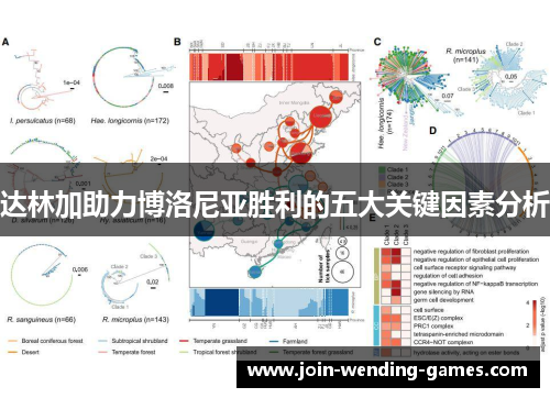 达林加助力博洛尼亚胜利的五大关键因素分析
