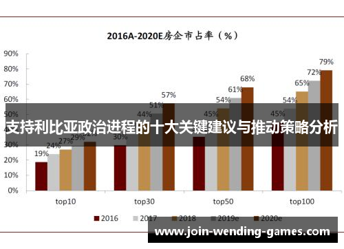 支持利比亚政治进程的十大关键建议与推动策略分析