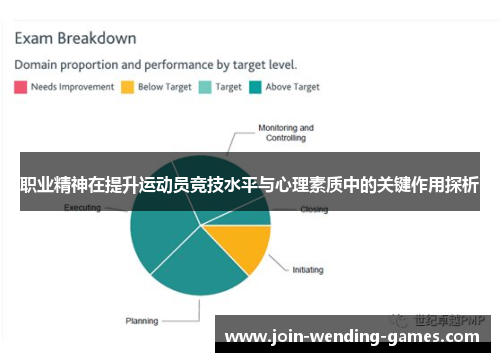 职业精神在提升运动员竞技水平与心理素质中的关键作用探析