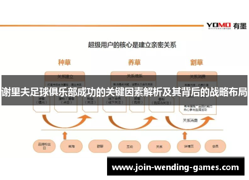 谢里夫足球俱乐部成功的关键因素解析及其背后的战略布局