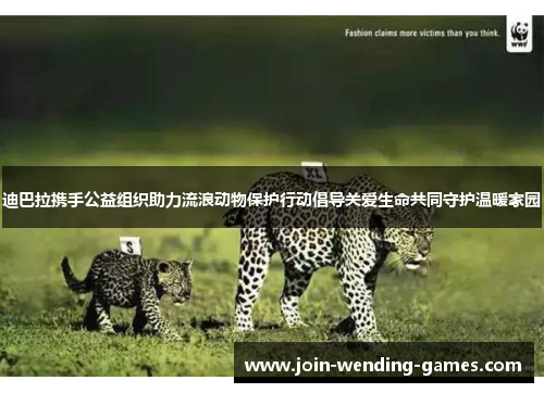 迪巴拉携手公益组织助力流浪动物保护行动倡导关爱生命共同守护温暖家园