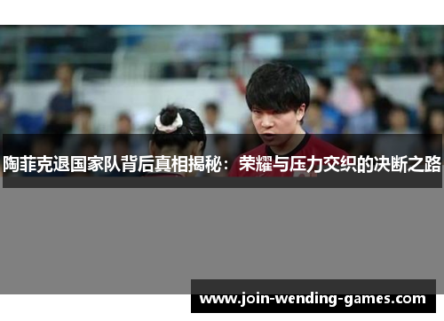 陶菲克退国家队背后真相揭秘：荣耀与压力交织的决断之路